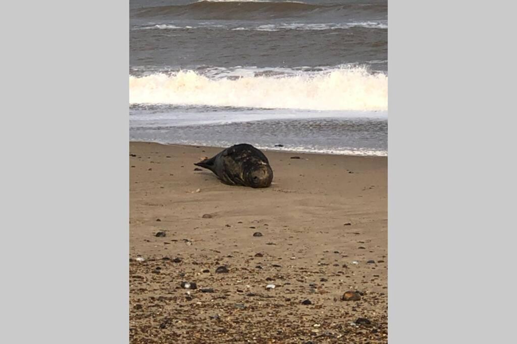 Dog Friendly Cottage 2 Mins To Beach With Hot Tub And Zappi Ev Lessingham Экстерьер фото